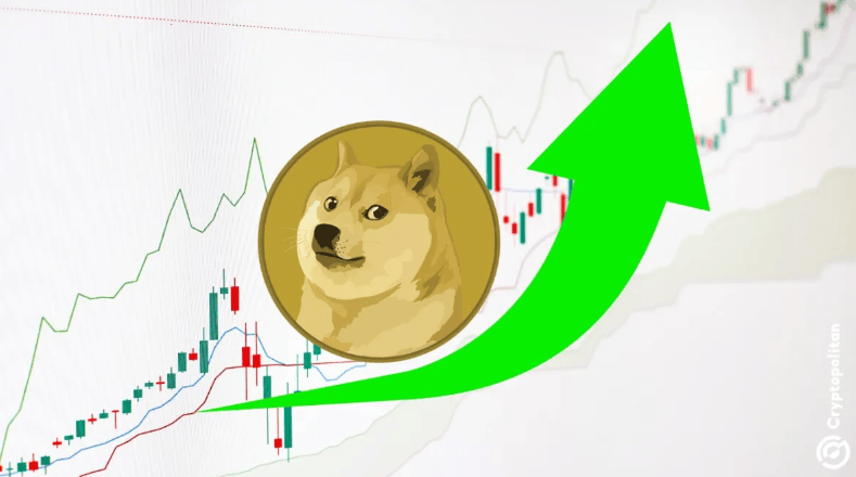 9体育-马斯克再次发推，XRP瞬间上上涨LDO%！的简单介绍